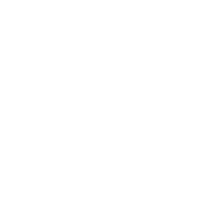 Velotric logo
