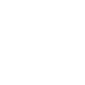 LMX logo