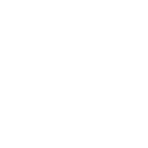 Macfox logo