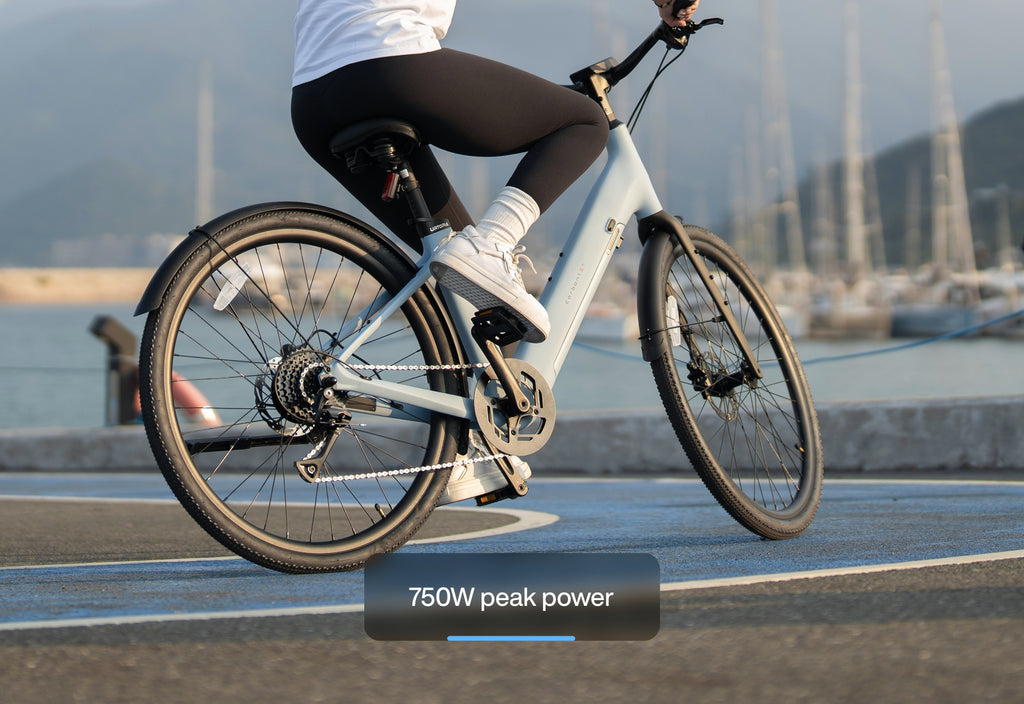 Utopia Carbon One step thure