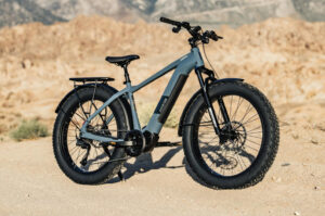Aventon Adventure M ebike with Tampa Bay skyline in background