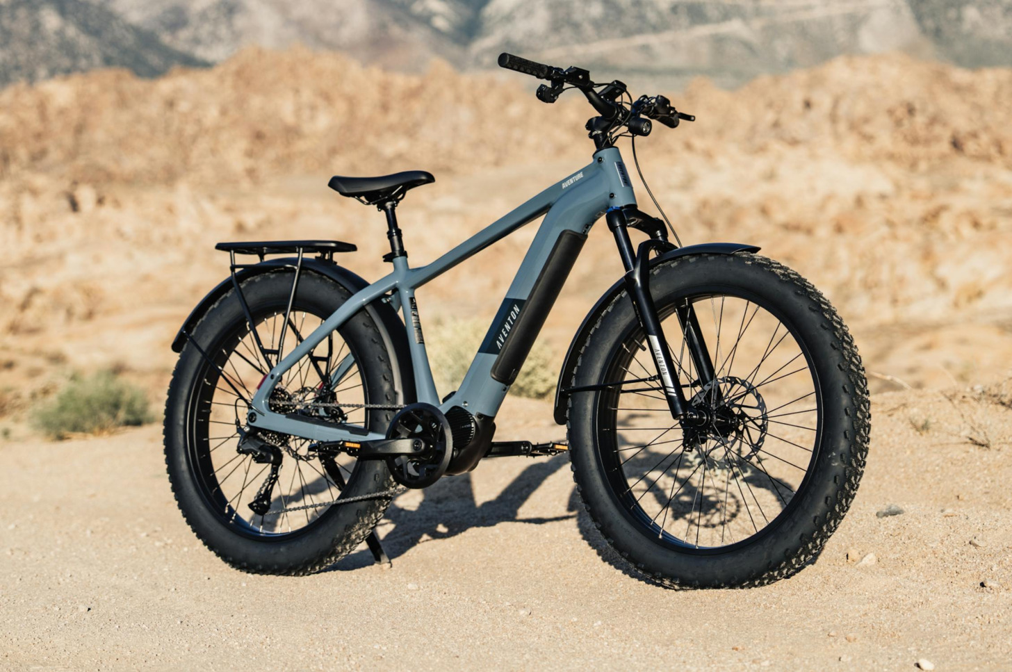 Aventon Adventure M ebike with Tampa Bay skyline in background